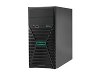 HPE ProLiant ML30 Gen11 - tower Xeon 6333P 3.1 GHz - 32 GB - SSD 2 x 480 GB P87458-425