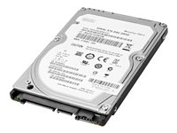 HP Enterprise - Hårddisk - 1 TB - 3.5" - SATA 6Gb/s - 7200 rpm - för Workstation Z2 G4, Z2 G5, Z2 G8, Z2 G9, Z4 G4, Z440, Z6 G4, Z8 G4; ZCentral 4R (3.5") W0R10AA