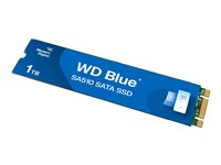 WD Blue SA510 WDS100T3B0B - SSD - 1 TB - inbyggd - M.2 2280 - SATA 6Gb/s - blå WDS100T3B0B