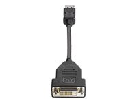 HP DisplayPort to DVI-D Adapter - DisplayPort-adapter - enkel länk - DisplayPort (hane) till DVI-D (hona) - 19 cm - sprintlåsning FH973AA