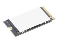 Lenovo - SSD - krypterat - 2 TB - inbyggd - M.2 2242 - PCIe 4.0 (NVMe) - TCG Opal Encryption 2.0 - blå - för ThinkPad X9-14 Gen 1 21QA, 21QB; X9-15 Gen 1 21Q6, 21Q7 4XB1T94547