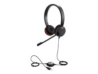 Jabra Evolve 20 UC stereo - Special Edition - headset - på örat - kabelansluten - USB 4999-829-409