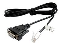 APC - Seriell kabel - RJ-45 (hane) till DB-9 (hona) - 2 m - för P/N: SRTL3KRM1UWNC, SRTL8KRM4UT, SRYL15K15XLT18, SRYL15K15XLT24, SRYL5K15XLT18 AP940-0625A